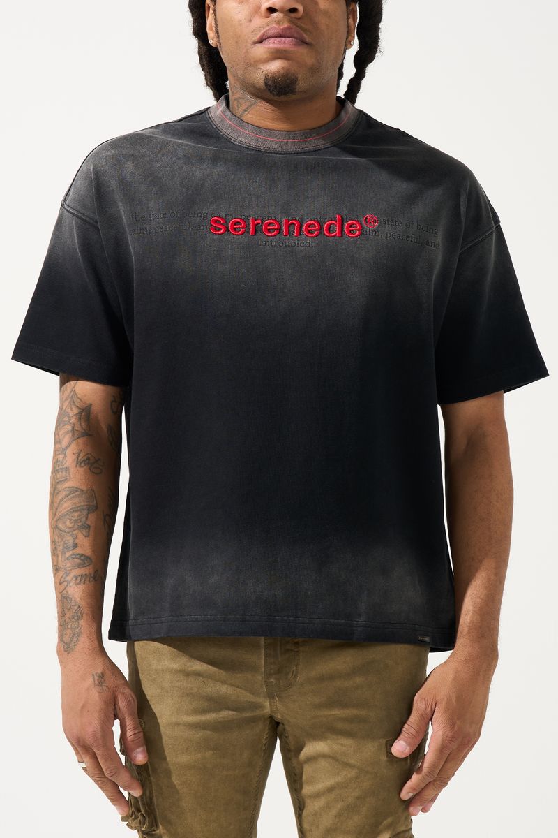 SERENEDE SKYLETTER Granite T-Shirt